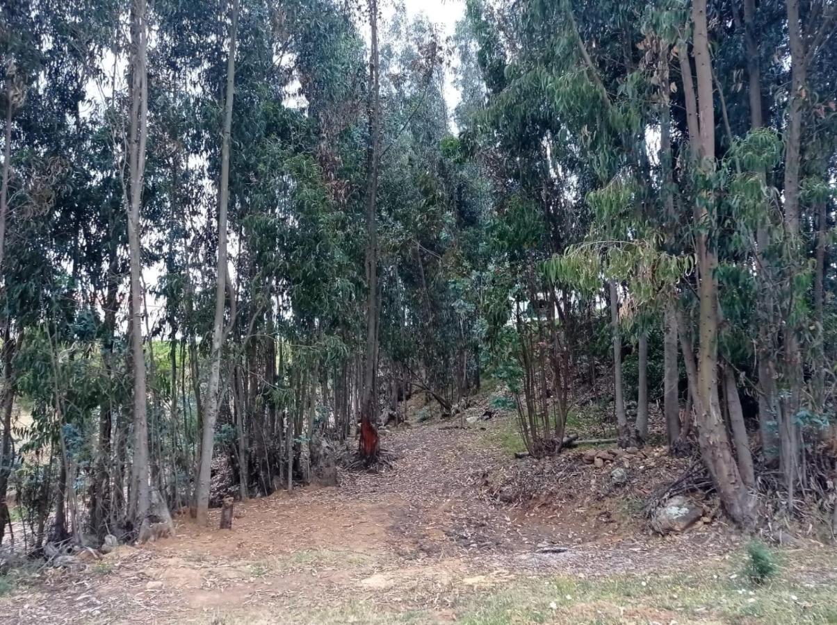 Camping Las Acacias Guatavita Esterno foto