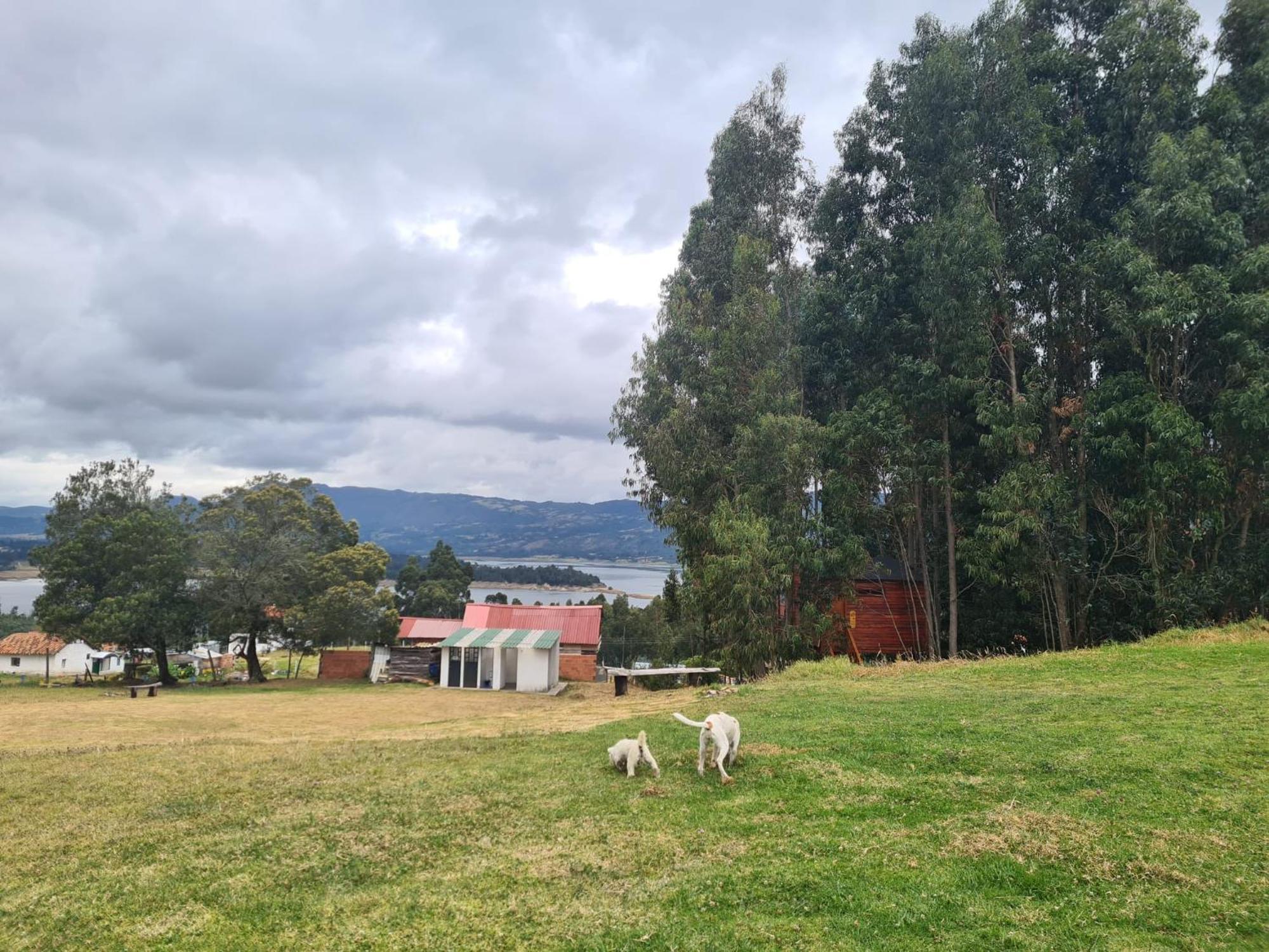 Camping Las Acacias Guatavita Esterno foto