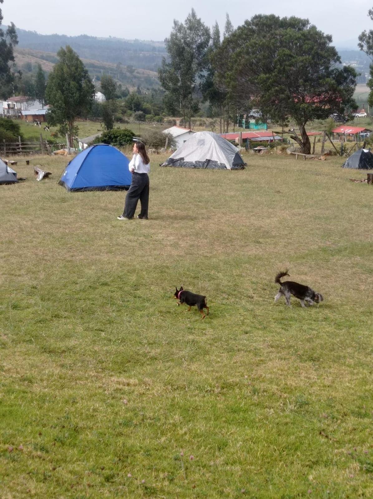 Camping Las Acacias Guatavita Esterno foto